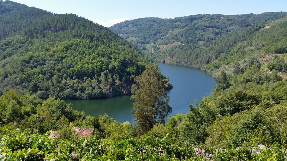 Estrepitoso fracaso del Gobierno de Feijóo en plena celebración del Xacobeo: La UNESCO tumba la candidatura de la Ribeira Sacra a Patrimonio de la Humanidad