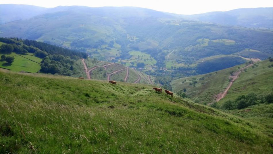 Cantabristas exige la publicación del informe de impacto ambiental del parque eólico del Escudo y denuncia el “cinismo sin límites” del ejecutivo