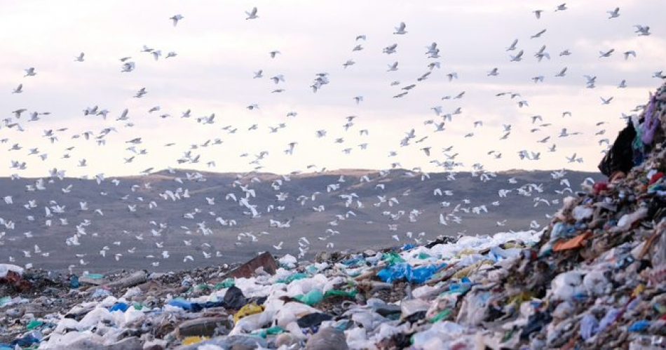 «Un 11 % del peso de la compra estándar va directamente a la basura»