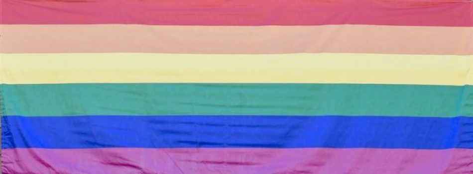 Unidas Podemos por las Rozas reclama al gobierno local que despliegue la bandera LGTBI en la fachada del consistorio