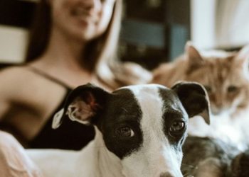 En Cáceres se habla de la Protección Animal en España