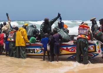 Greenpeace revela el dramático impacto de la industria europea de harinas y aceite de pescado en África occidental