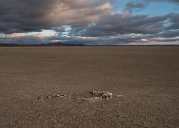 Más del 75% de España está ya en riesgo de desertificación