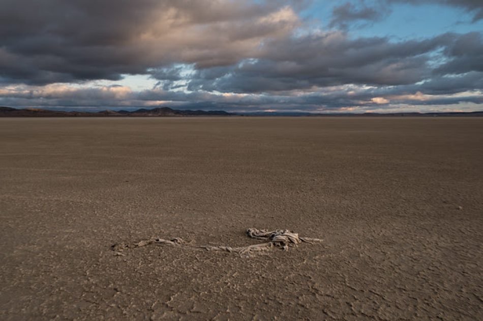 Más del 75% de España está ya en riesgo de desertificación