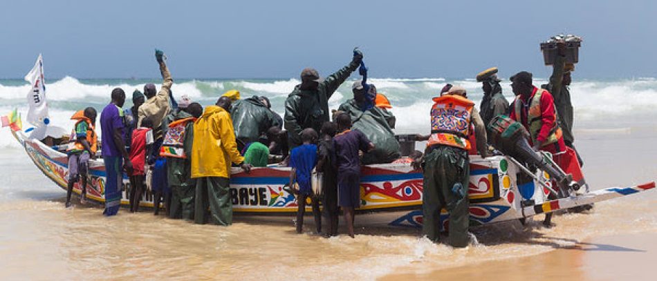 Greenpeace revela el dramático impacto de la industria europea de harinas y aceite de pescado en África occidental