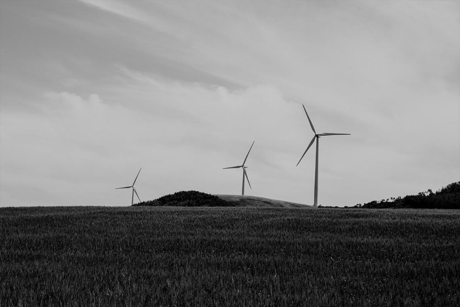 Verdes EQUO: «La transición energética debe ser compatible con la protección de la biodiversidad y del territorio»