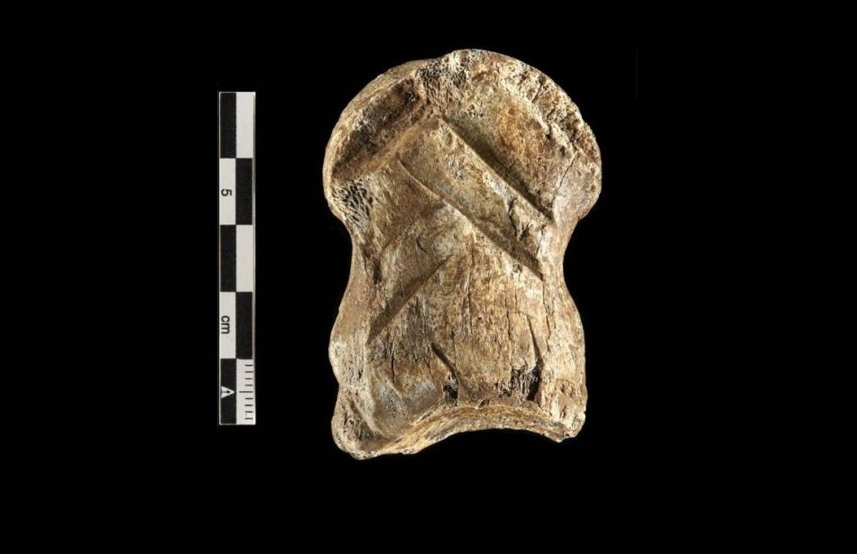 Habla un hueso tallado hace 51.000 años: los neandertales fueron artistas pioneros