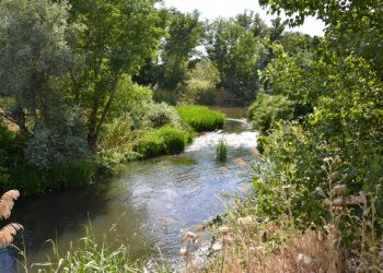 Organizaciones ecologistas piden crecidas fluviales frente a fumigaciones con pesticidas