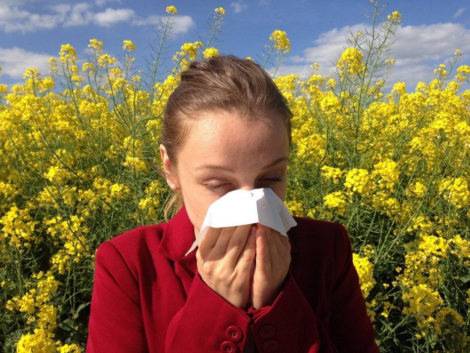 Descubierto el mecanismo responsable de los procesos de alergia