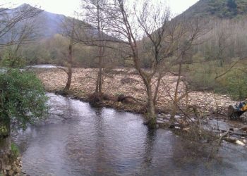 A ver quien asume la responsabilidad de otro año malisimo de pesca en los rios asturianos