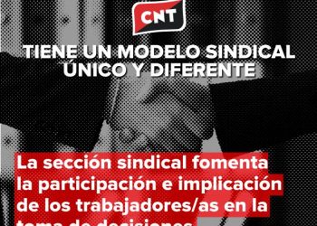 FS VAMA condenada por Vulneración Sindical