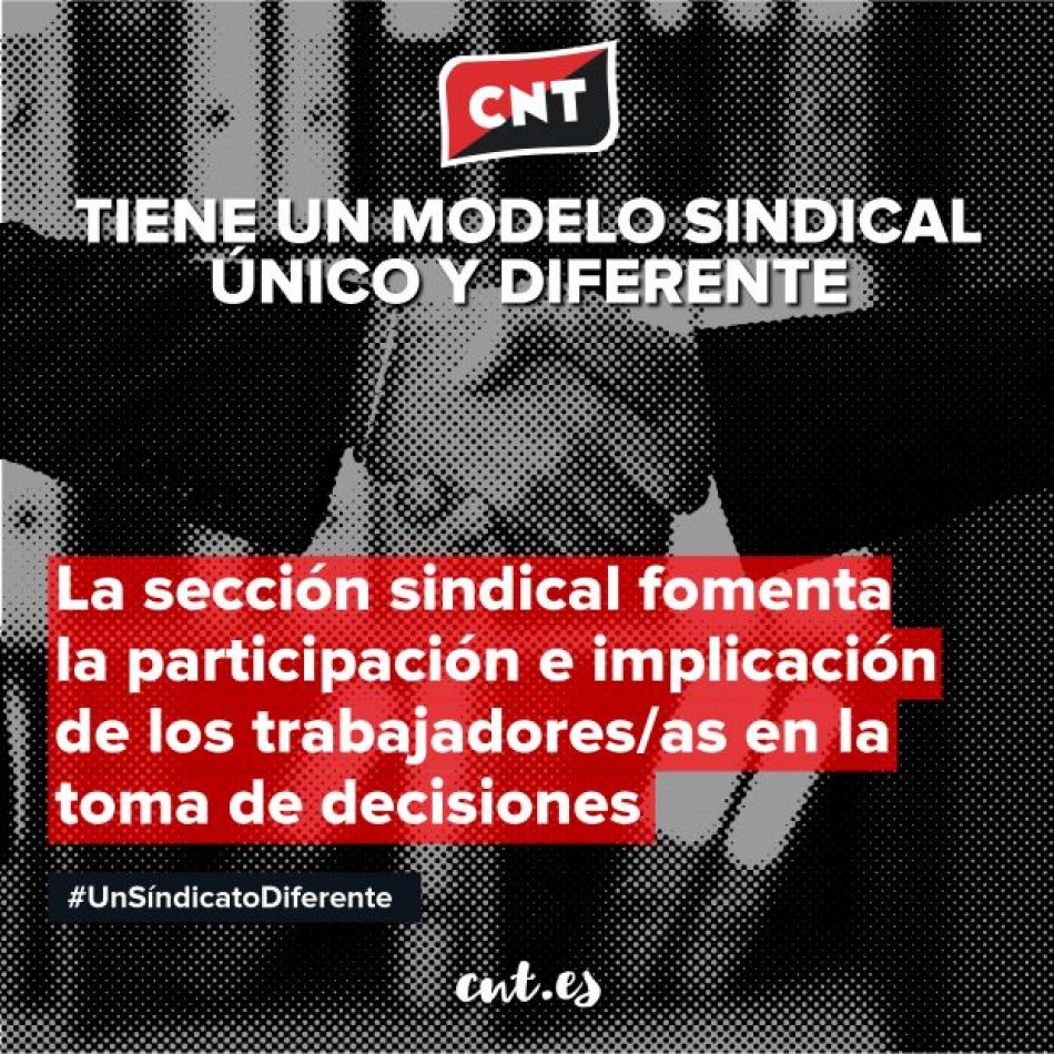 FS VAMA condenada por Vulneración Sindical