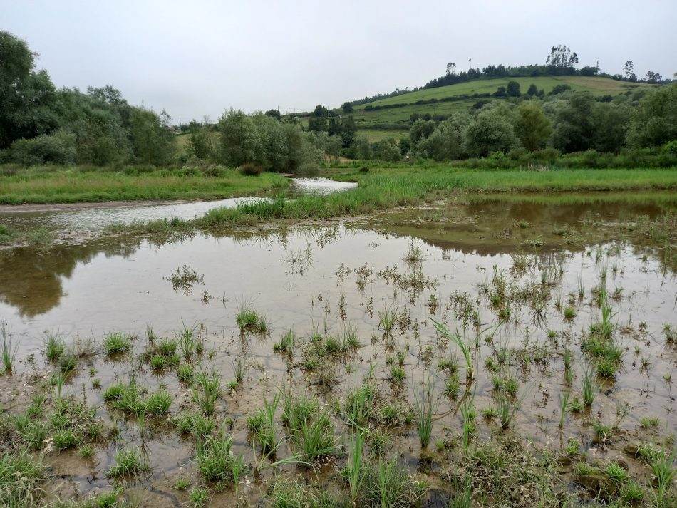 «Hay que restaurar la cola espacio natural del embalse de San Andrés que Arcelor daño gravemente»