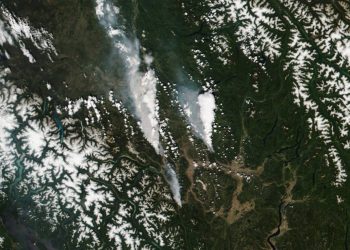 La ola de calor en Norteamérica deja 100 fallecidos y 78 incendios forestales