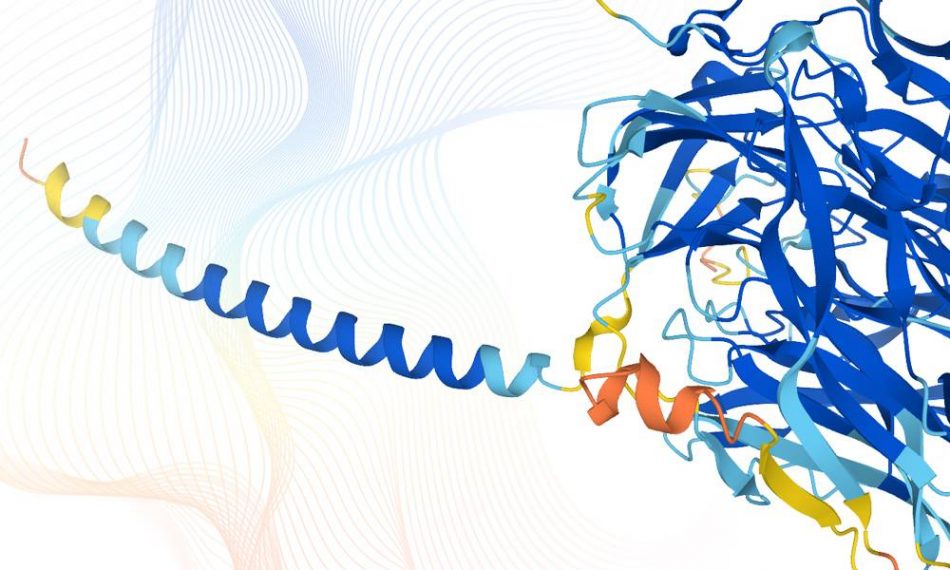 Publicada la imagen más completa de las proteínas que componen el proteoma humano
