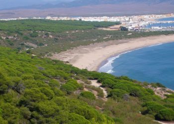 Verdes Equo pregunta al Gobierno de España por las amenazas urbanísticas en el litoral de Barbate