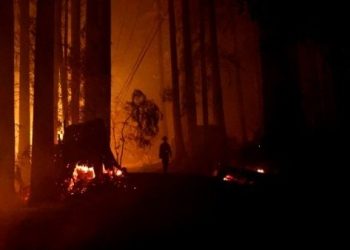 Incendio forestal ha destruido más de 80.000 hectáreas en California, EE.UU.