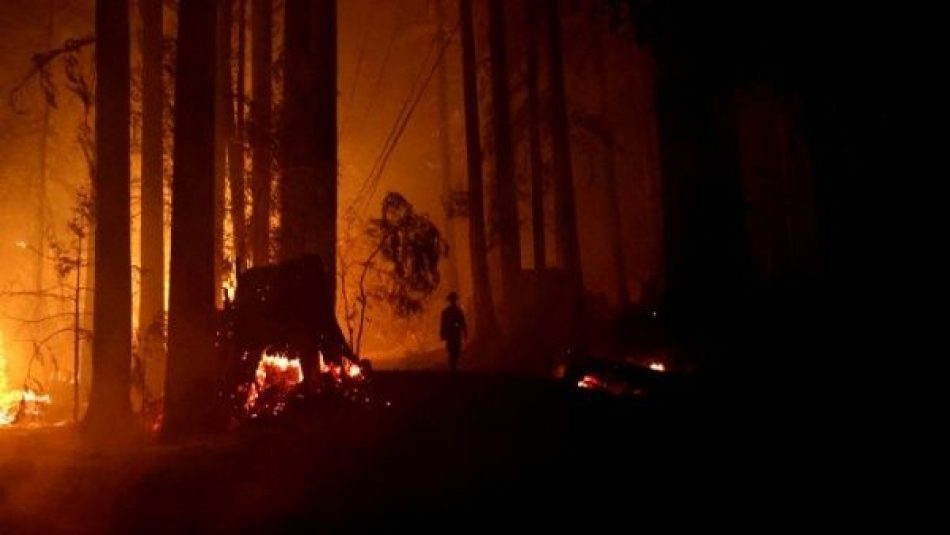 Incendio forestal ha destruido más de 80.000 hectáreas en California, EE.UU.