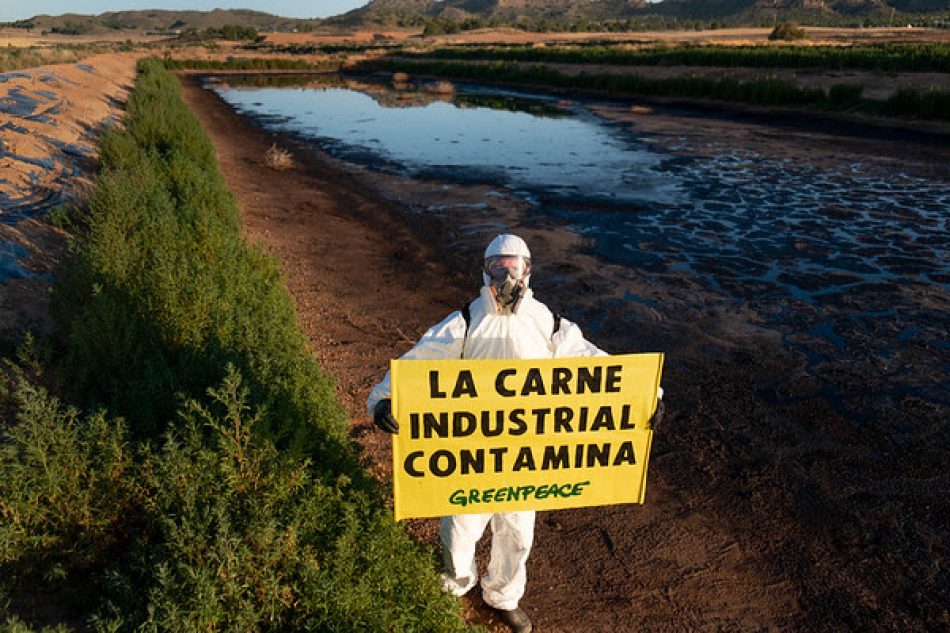 Greenpeace considera irresponsable la respuesta de Pedro Sánchez ante la polémica suscitada sobre la reducción del consumo de carne