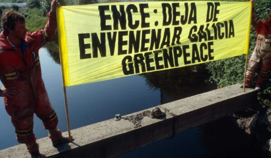 Greenpeace pide a Ence que planifique el cierre de la celulosa en Lourizán de inmediato