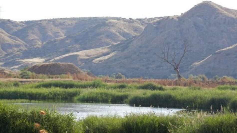 Unidas Podemos pide al Gobierno de la Comunidad de Madrid medidas para frenar el deterioro de la laguna principal del Soto Gutiérrez