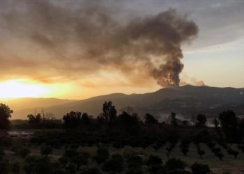 Argelia: incendios están vinculados con Marruecos e Israel
