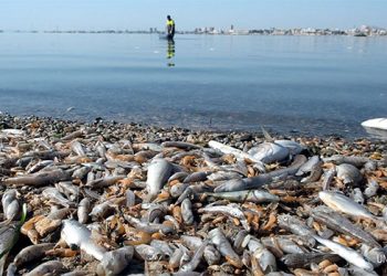 Convocan una manifestación por el Mar Menor en Murcia