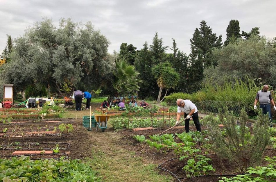 Instan a la Junta de Extremadura a que potencie la agroecología y no la expansión de los cultivos de regadíos