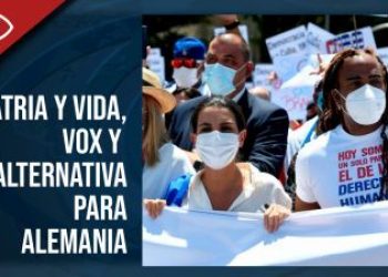 Patria y Vida, VOX y Alternativa para Alemania