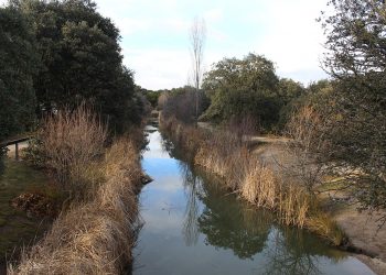 Unidas por Las Rozas reclama al gobierno local “información pública transparente” sobre las obras en La Talaverona y anuncia preguntas para las Comisiones de septiembre