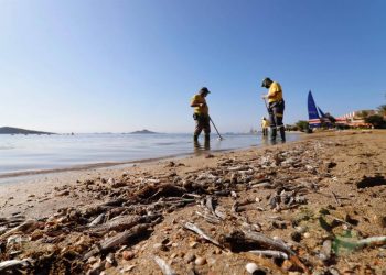 El Mar Menor, un ecosistema singular bajo presión