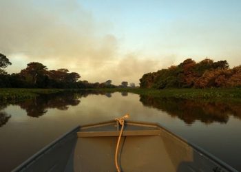 Brasil. La principal reserva hídrica del mundo, «se está secando»