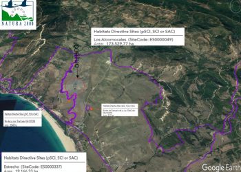 Verdes de Europa-Tarifa contra el proyecto en la Finca “La Palmosilla”