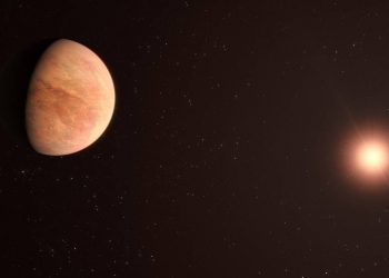 Un exoplaneta rocoso con la mitad de la masa de Venus