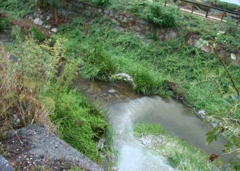 A Confederación Hidrográfica Miño-Sil ábrelle un expediente sancionador ao Concello de San Cibrao das Viñas polo lamentable estado ambiental do río Barbaña