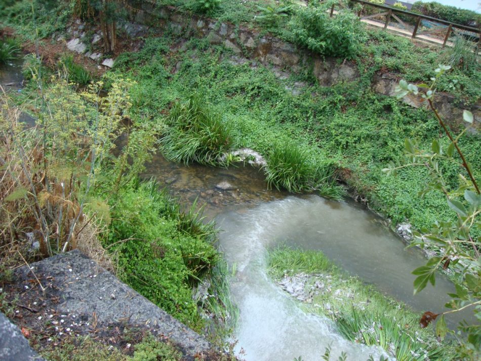 A Confederación Hidrográfica Miño-Sil ábrelle un expediente sancionador ao Concello de San Cibrao das Viñas polo lamentable estado ambiental do río Barbaña