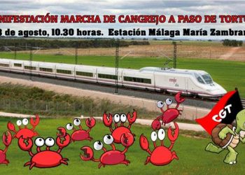 La Subdelegación del Gobierno tendrá que dar explicaciones en el juzgado por no facilitar la marcha cangrejo a paso de tortuga del 13 de agosto en Málaga