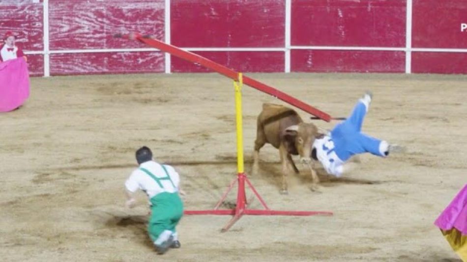 Ecologistas Extremadura pide que no se vuelva a repetir el bombero torero en Extremadura