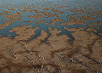 Uralde reclama a Sánchez mayor compromiso climático y la constitución de una empresa pública de energía