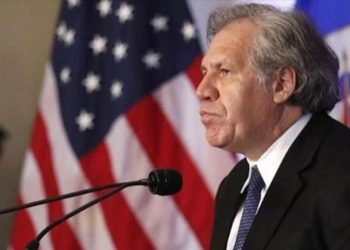 La OEA y el triste papel servil a EEUU