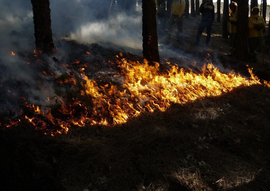 “Incluso con los incendios, el objetivo es ayudar al planeta a reencontrar el equilibro que le hemos obligado a perder”