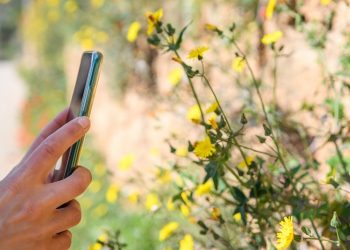 El Observatorio de la Biodiversidad Agraria (OBA) lanza una APP para recabar información sobre la relación entre naturaleza y agricultura