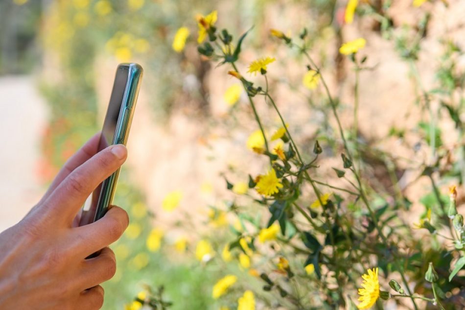 El Observatorio de la Biodiversidad Agraria (OBA) lanza una APP para recabar información sobre la relación entre naturaleza y agricultura