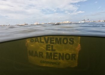 Un informe de Greenpeace señala el trasvase del Tajo-Segura como el origen de la extrema situación que vive el Mar Menor