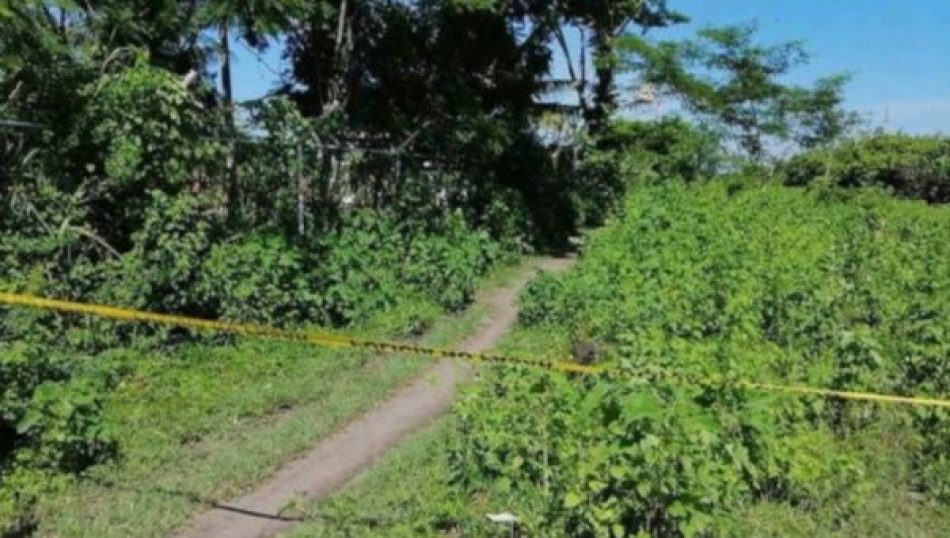 Indepaz reporta nueva masacre en zona rural de Cúcuta, Colombia