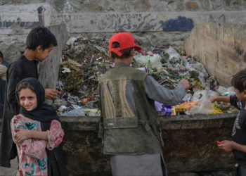 El Programa Mundial de Alimentos alerta: Solo el 5 % de los hogares afganos tiene suficiente para comer