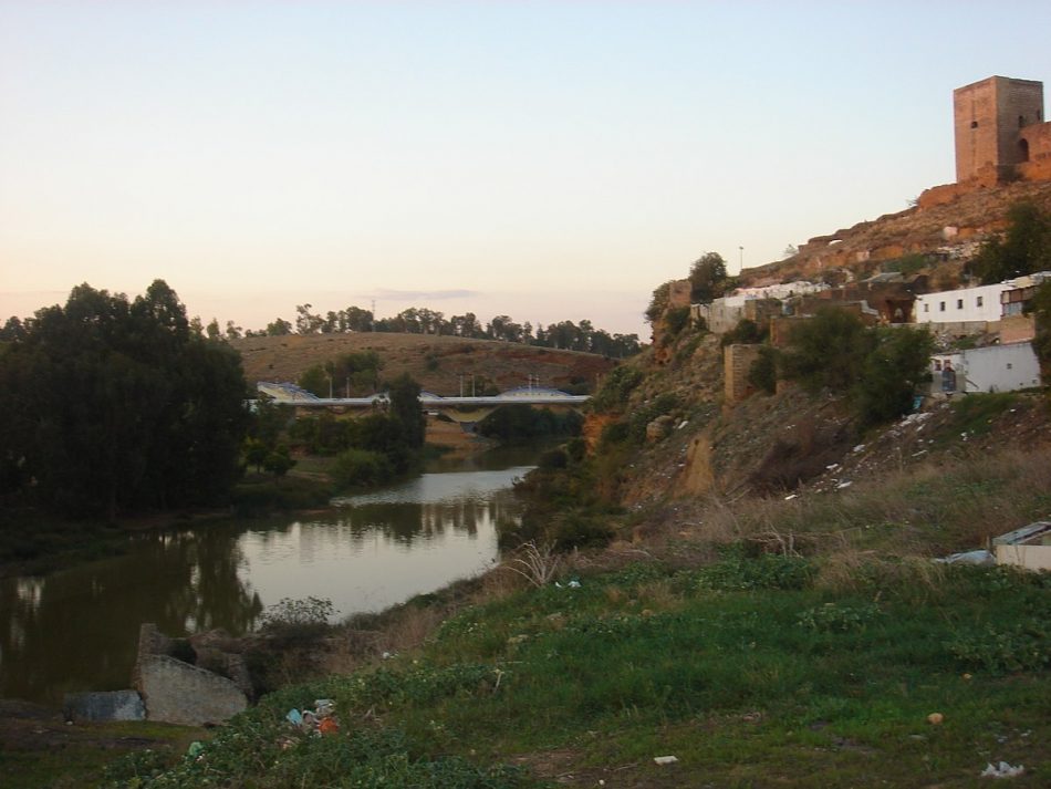 Ismael Sánchez denuncia el nuevo episodio de contaminación que ha sufrido el río Guadaíra en Sevilla