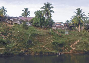 Nicaragua: Ataque armado en territorio Mayangna Sauni As