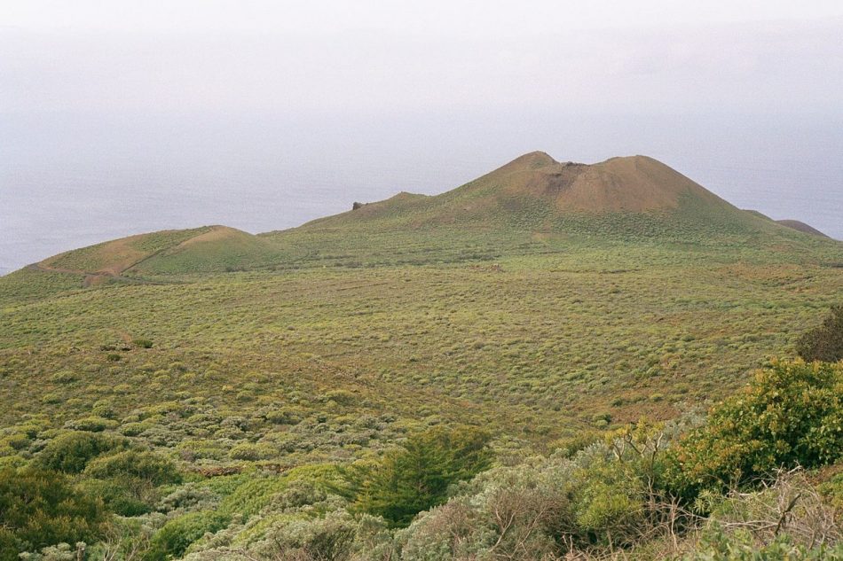 Las bacterias marinas del volcán Tagoro, con potencial para uso farmacéutico