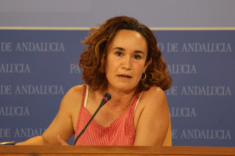 Unidas Podemos por Andalucía denuncia que el Gobierno andaluz “financia y defiende el acoso a las mujeres que deciden abortar”